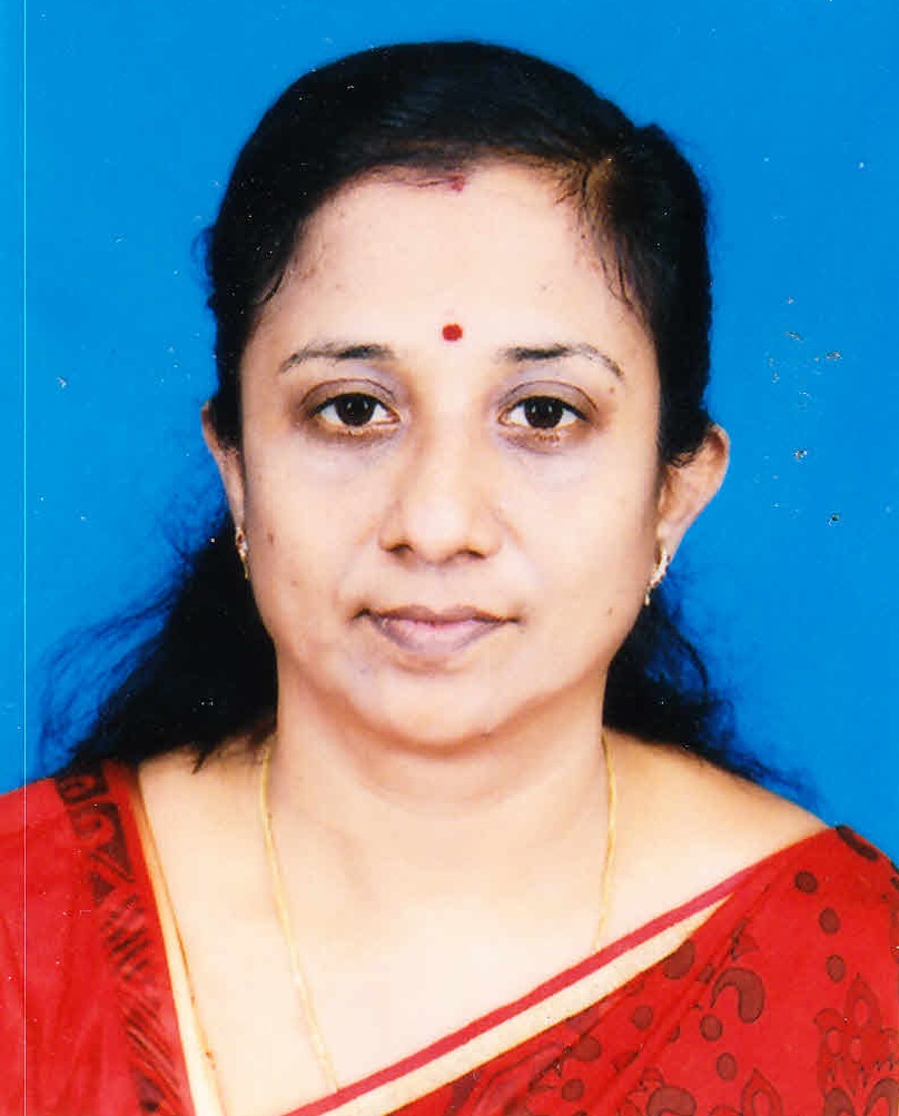 DS nallur