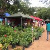 நாட்டிற்காக ஒன்றிணைவோம்-தேசிய அபிவிருத்தி செயற்திட்டம்